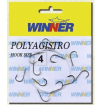 ΠΟΛΥΑΓΚΙΣΤΡΟ ΜΕ ΠΕΤΟΝΙΑ