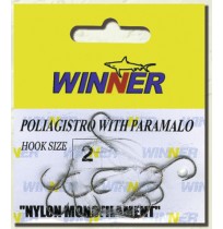 ΠΟΛΥΑΓΚΙΣΤΡΟ ΠΕΤΟΝΙΑ ΜΕ ΠΑΡΑΜΑΛΟ