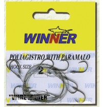 ΠΟΛΥΑΓΚΙΣΤΡΟ ΣΥΡΜΑΤΙΝΟ ΜΕ ΠΑΡΑΜΑΛΟ